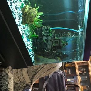 Meet your Posher, Carolyn